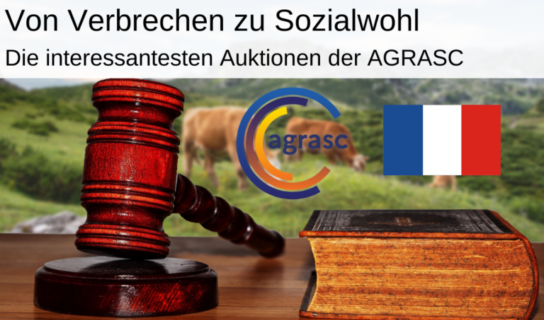 Die interessantesten Auktionen der AGRASC