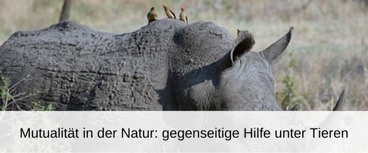 mutualität in natur