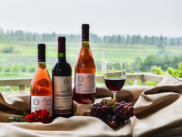 Wein Zoll Geldversteck